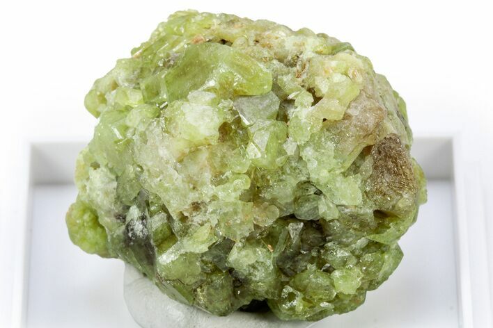 Lustrous Green Alumovesuvianite Crystal Cluster - Mali #305659